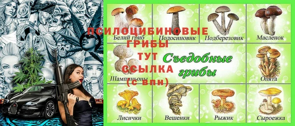 a pvp Алексин