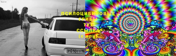 apvp Абаза