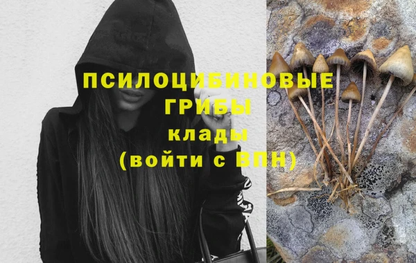 a pvp Алексин