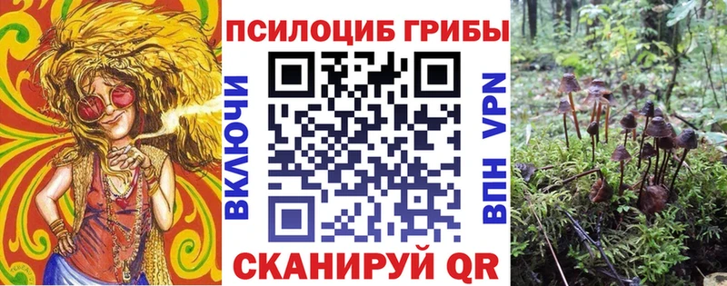 гидра   Десногорск  Галлюциногенные грибы MAGIC MUSHROOMS 